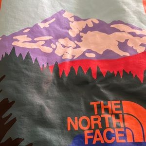 North Face 100% Authentic Hoodie